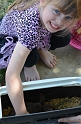 Kids_WellshireEggHunt-2013 (4)